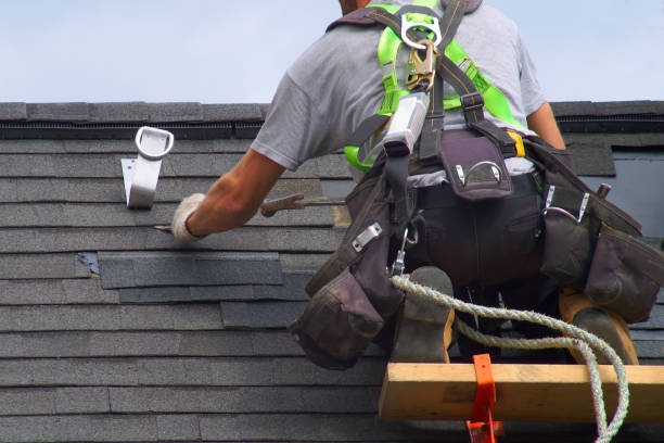Best Emergency Roof Repair  in Mayville, ND