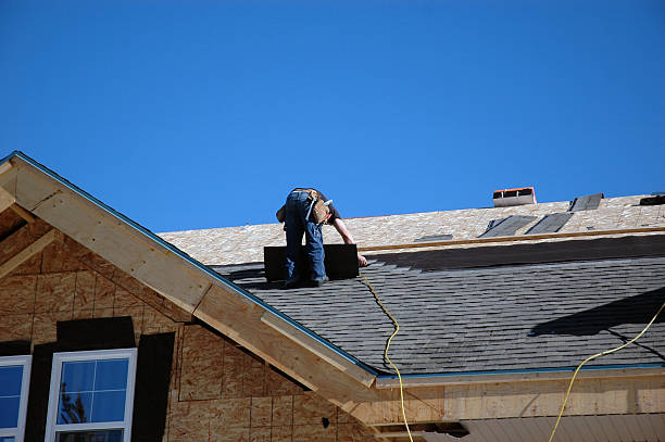 Best Local Roofing Companies  in Mayville, ND