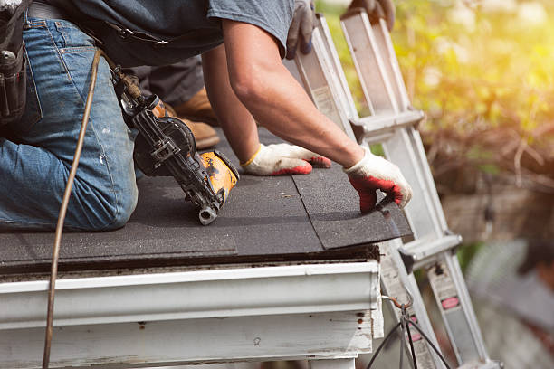 Best Metal Roofing Contractor  in Mayville, ND